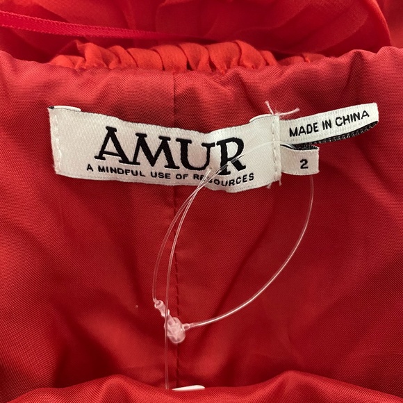 NEW Amur Red Pleated Ruffle Mini Mimi Dress - Picture 9 of 12